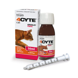 4CYTE Epiitalis Forte Gel for Cats 50ml
