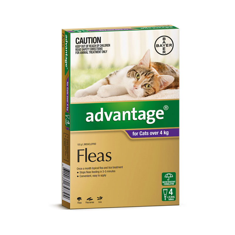 Advantage Purple Spot-On for Medium & Large Cats - 4 Pack 1