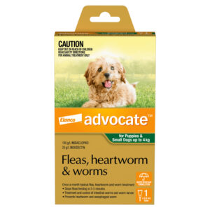 Advocate Green Spot-On for Puppies & Small Dogs - Single