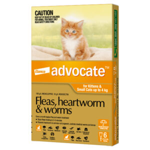 Advocate Orange Spot-On for Kittens & Small Cats - 6 Pack