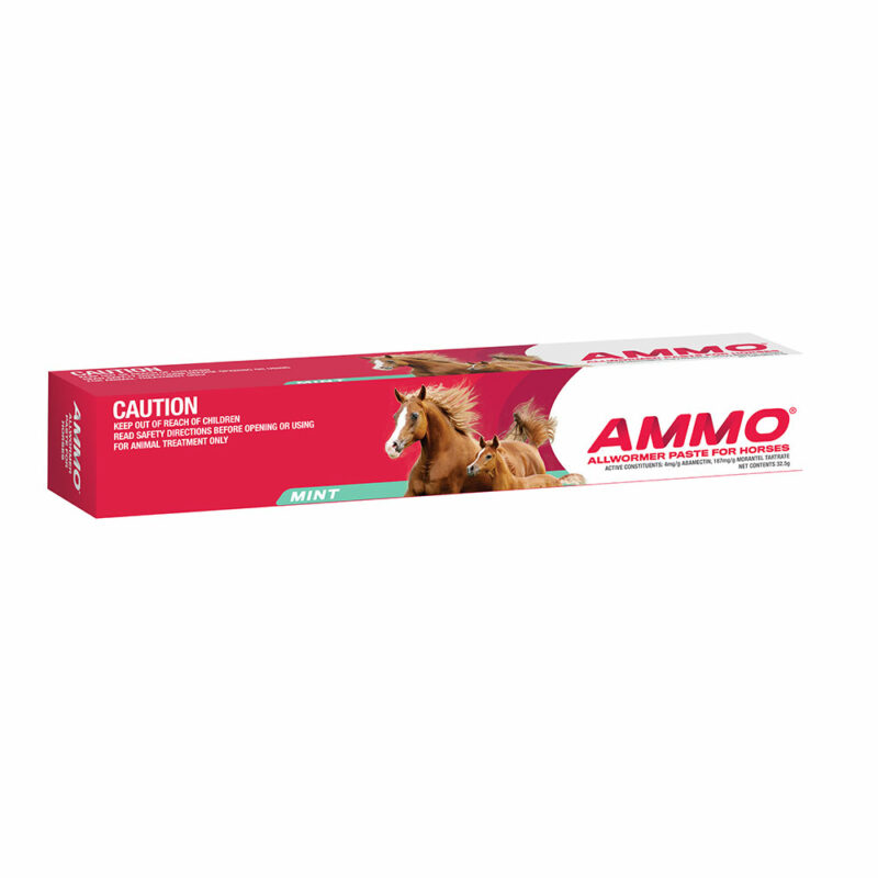 Ammo Allwormer Paste for Horses and Foals 32.5g Syringe