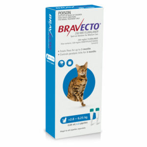 Bravecto Blue Spot-on for Medium Cats - 2 Pack