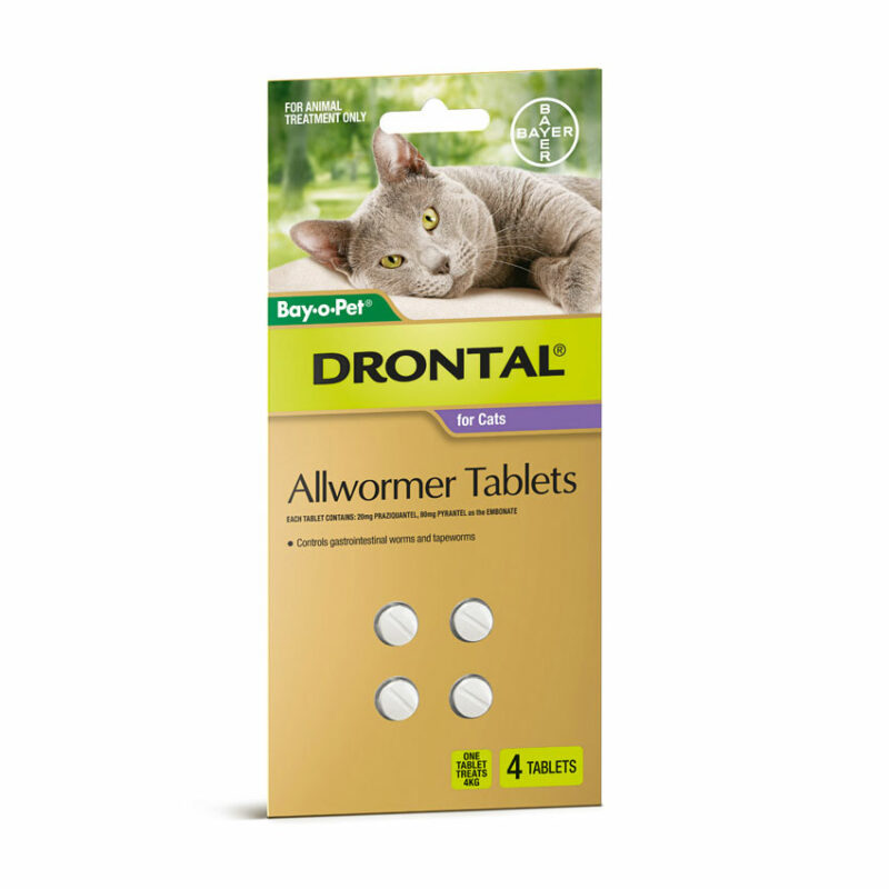 Drontal Allwormer Tablets for Cats (up to 4kg) - 4 Pack 1