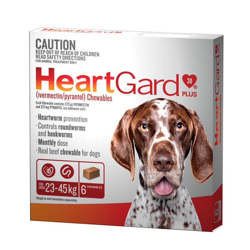 HeartGard Plus Brown Chews for Large Dogs - 6 Pack 1