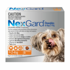 NexGard Orange Chews for Small Dogs (2-4kg) - 6 Pack