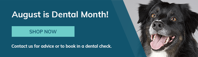 August is Dental Month